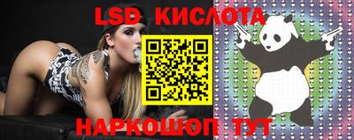 PSILOCYBIN Свободный