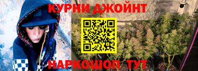 гашик Славгород