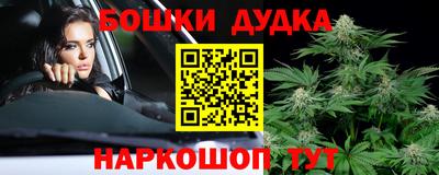 гашик Славгород