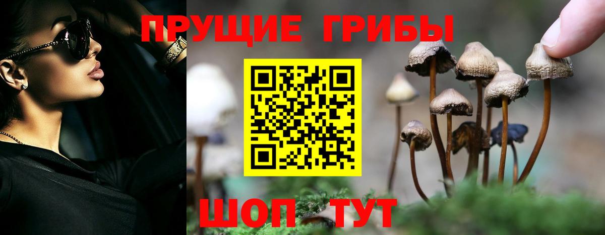 Нижнекамск  Галлюциногенные грибы MAGIC MUSHROOMS  Вход с VPN  Псилоцибиновые грибы Magic Shrooms 